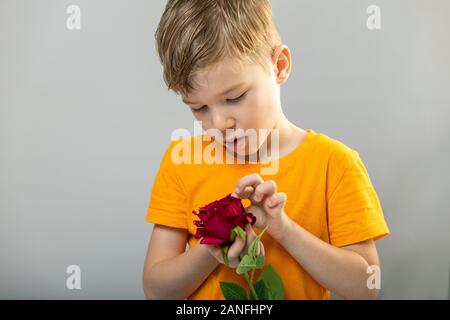 Schöner Junge mit Blume in der Hand. Kopieren Sie Platz. Stockfoto