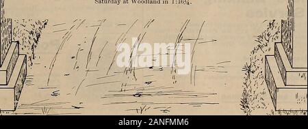 Züchter und Sportler. Band LVI. Nr. ist. SAN FRANCISCO, Samstag, 30. April 1910. Abonnement - $ 3.00 pro Jahr />>< jo Bay Stute, geboren am 7. April 1909, vom Iran Alto, Dam von Diablo. Trottete % Meile lastSaturday bei Waldland in 1:16 J^. ^^U< | lV< wWv ^-^. Stockfoto