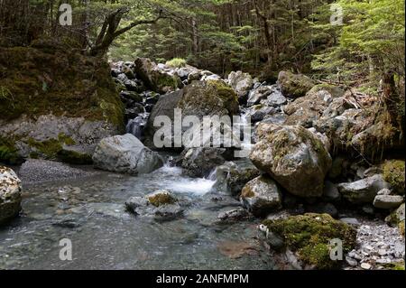 Große Felsbrocken sind Teil eines Flusses in Neuseeland Stockfoto