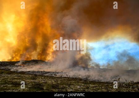 Ein Lauffeuer reißt durch trockene Fynbos auf der Kap-Halbinsel in Südafrika Stockfoto