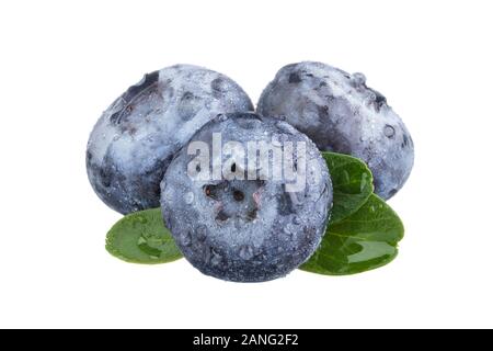 Gruppe von frischen Heidelbeeren isoliert auf weißem Hintergrund. Stockfoto