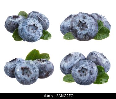 Gruppe von frischen Heidelbeeren isoliert auf weißem Hintergrund. Stockfoto