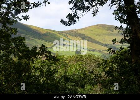 Dolgoch, in der Nähe von Tywyn (Towyn), Wales Stockfoto