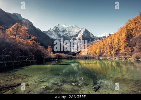 Mount heiligen Xiannairi Reflexion über Emerald Lake im Herbst Kiefernwald an Yading Naturschutzgebiet Stockfoto