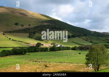 Ackerland bei Dolgoch, in der Nähe von Tywyn (Towyn), Wales Stockfoto