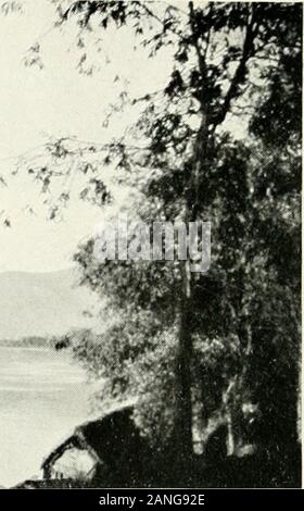 Kaschmir, drei Wochen in einem Hausboot. Die jhelum oben Kadabal: Abend: Stockfoto