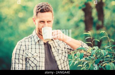 Vollständige blatt Tee. Hervorragender Geschmack. Genießen Sie heiße Getränke. Natürliche trinken. Gesunde Lebensweise. Ich bevorzuge grünen Tee. Erfrischendes Getränk. Man bärtige Kaffee Bauer ho Stockfoto
