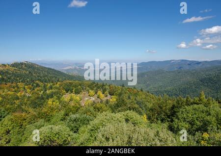 Bergpanorama - Wilde Natur Wald - Wild Grün Natur - Mariovo, Mazedonien Stockfoto