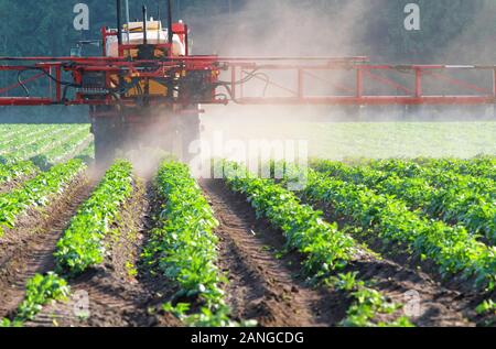 Pestizidspritze auf einem Feld mit Gemüse Stockfoto