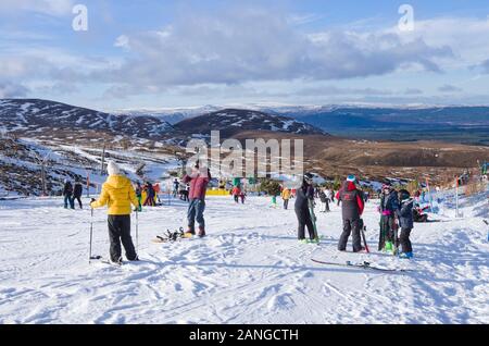 Männer, Frauen und Kinder auf sonnigen Schneepisten im Cairngorm Mountain Ski Center Cairngorms National Park, Aviemore, Scottish Highlands, Schottland UK Stockfoto