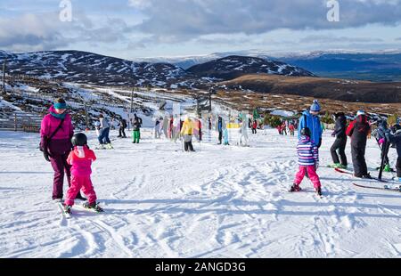 Männer, Frauen und Kinder auf sonnigen Schneepisten im Cairngorm Mountain Ski Center Cairngorms National Park, Aviemore, Scottish Highlands, Schottland UK Stockfoto