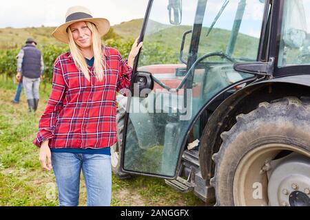 Die Frau als Ernte Assistant auf Traktor während der Weinlese im Weinberg im Herbst Stockfoto