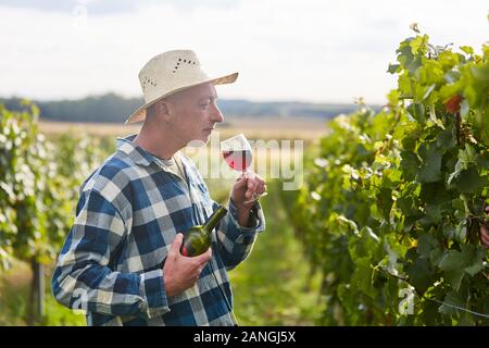 Winzer im Weinberg während der Weinlese mit einem Glas Rotwein Stockfoto