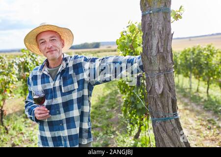 Winzer steht mit einem Glas Rotwein im Weinberg während der Weinlese Stockfoto