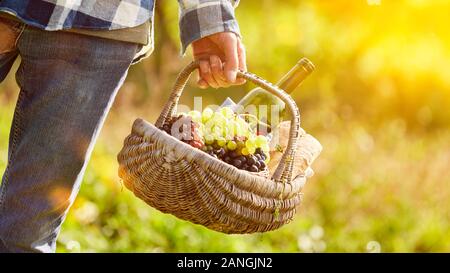 Hand hält Korb von Wein und rote und weiße Trauben für eine Weinprobe Stockfoto