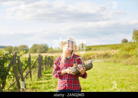 Junge Frau als Winzer oder Harvest Assistant mit einem Korb während der Weinlese Stockfoto