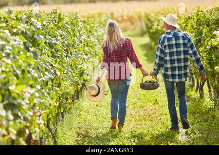 Glückliches junges Paar auf einem Ausflug in die Weinberge mit Korb für ein Picknick Stockfoto