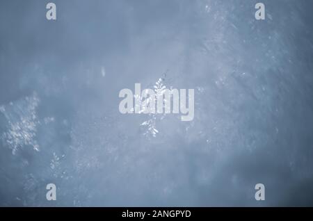 Blauer Schnee Hintergrund mit Schneeflocken. Soft Focus Stockfoto