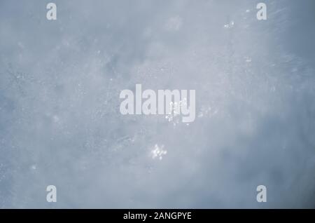 Natürliche Schneeflocken auf Schnee, Foto echte Schneeflocken während einem Schneefall, unter natürlichen Bedingungen bei niedriger Temperatur Stockfoto