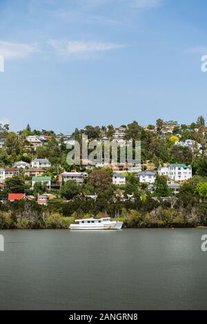Launceston, Tasmanien - 3. Januar 2020: Blick über den Fluss Tamar in Richtung der Häuser von Trevallyn. Stockfoto
