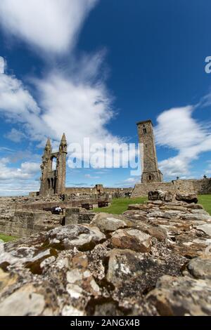 Stadt St Andrews, Schottland. Malerischer Blick auf die St. Andrews Kathedrale, mit Regeln Turm auf der rechten Seite und Osten Giebel auf der linken Seite. Stockfoto