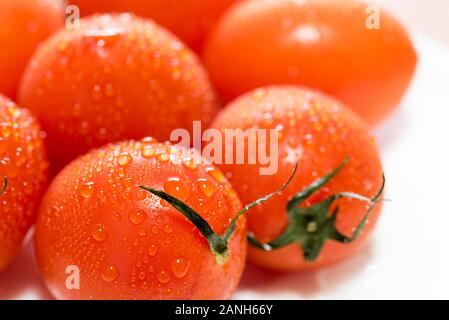 Reife frische orangefarbene Tomaten Nahaufnahme. Nasse Tomaten mit Wassertröpfchen. Stockfoto