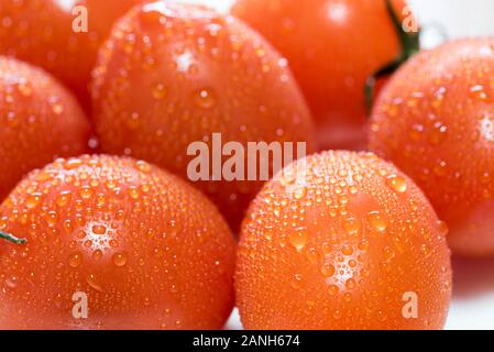 Reife frische orangefarbene Tomaten Nahaufnahme. Nasse Tomaten mit Wassertröpfchen. Stockfoto