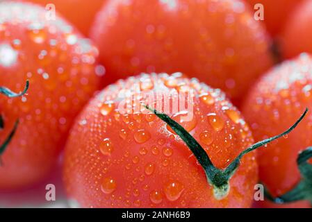 Reife frische orangefarbene Tomaten Nahaufnahme. Nasse Tomaten mit Wassertröpfchen. Stockfoto