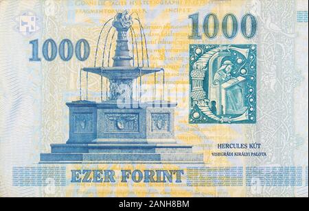 Visegrad Royal Brunnen auf Ungarn 1000 Forint Banknote 2006 close up Fragment Stockfoto