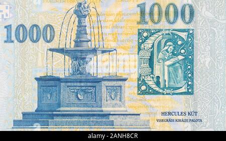 Visegrad Royal Brunnen auf Ungarn 1000 Forint Banknote 2006 close up Fragment Stockfoto