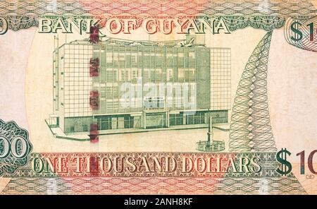 Teil von Braun Guyana 1000 Dollar Banknote fragment Nahaufnahme Stockfoto