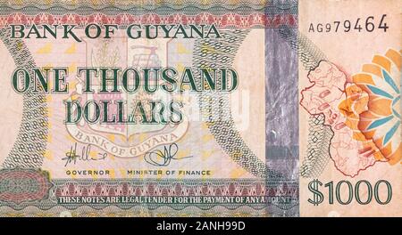 Teil von Braun Guyana 1000 Dollar Banknote fragment Nahaufnahme Stockfoto