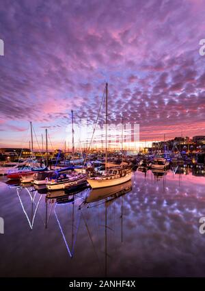 Die Boote und Jachten leuchten mit weihnachtslichtern in der Ramsgate Royal Harbour Marina in Kent. Stockfoto