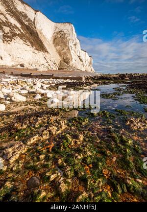 Am frühen Morgen Sonne auf die weißen Klippen von Dover an St. Margarets Bay, Kent Stockfoto