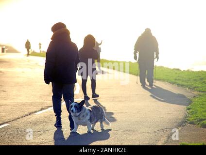 Hund Spaziergänger entlang der Klippen in Blackpool an einem kalten Wintertag hell Stockfoto