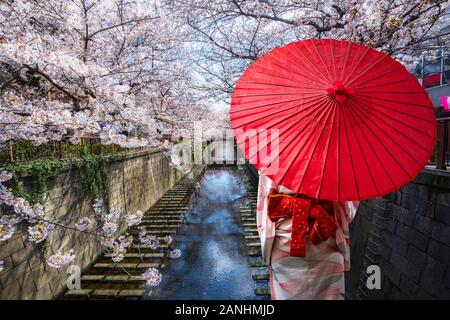 Asiatische junge Frau Reisenden tragen traditionelle japanische Kimono mit roten Regenschirm Sightseeing in berühmten Ziel Cherry Blossom gesäumt Meguro Canal Stockfoto