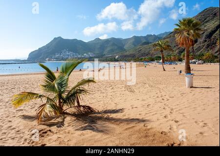 Kanarische Insel Teneriffa, SPANIEN - 23 Dez, 2019: Playa de Las Teresitas ist der schönste Strand auf der Kanarischen Insel Teneriffa. Der weiße Sand wurde Shi Stockfoto