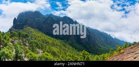 Roques, Nebel und kanarischen Kiefernwald, La Cumbrecita Caldera de Taburiente National Park, Insel La Palma, Kanarische Inseln, Spanien, Europa Stockfoto