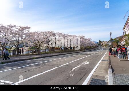 Blick auf die Straße von Hakuba im Frühling kirschblüten Saison sonnigen Tag morgen. Hakuba ist berühmt durch die bukeyashiki (Samurai Residenzen). Semboku Stockfoto