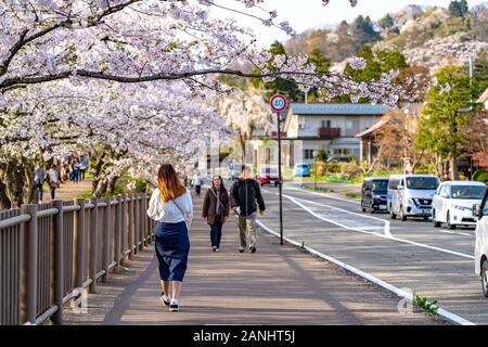 Blick auf die Straße von Hakuba im Frühling kirschblüten Saison sonnigen Tag morgen. Hakuba ist berühmt durch die bukeyashiki (Samurai Residenzen). Semboku Stockfoto