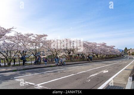 Blick auf die Straße von Hakuba im Frühling kirschblüten Saison sonnigen Tag morgen. Hakuba ist berühmt durch die bukeyashiki (Samurai Residenzen). Semboku Stockfoto