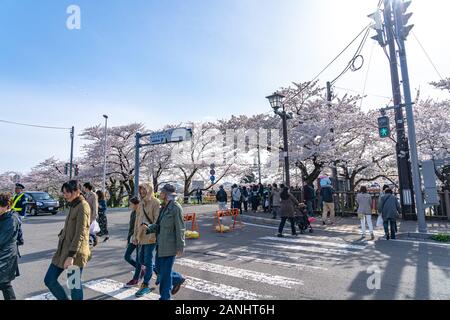 Blick auf die Straße von Hakuba im Frühling kirschblüten Saison sonnigen Tag morgen. Hakuba ist berühmt durch die bukeyashiki (Samurai Residenzen). Semboku Stockfoto