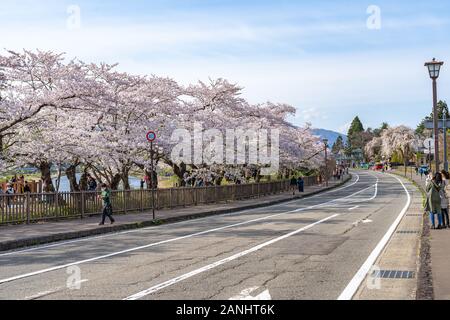 Blick auf die Straße von Hakuba im Frühling kirschblüten Saison sonnigen Tag morgen. Hakuba ist berühmt durch die bukeyashiki (Samurai Residenzen). Semboku Stockfoto