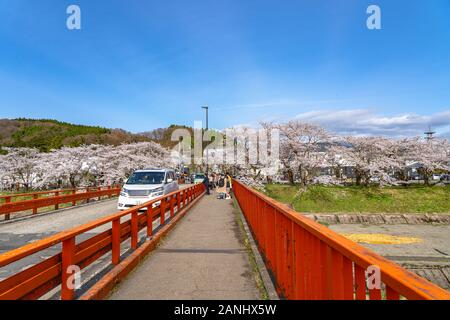 Hinokinai Fluss Ufer in Frühling kirschblüten Saison sonnigen Tag. Besucher genießen die Schönheit voller Blüte pink sakura Baum Blume. Stadt Hakuba Stockfoto