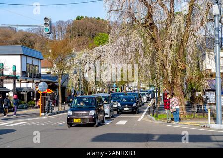 Blick auf die Straße von Hakuba im Frühling kirschblüten Saison sonnigen Tag morgen. Hakuba ist berühmt durch die bukeyashiki (Samurai Residenzen). Semboku Stockfoto