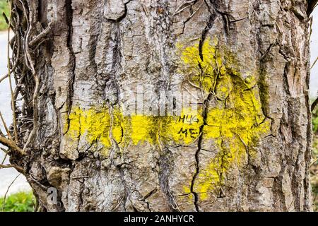 Motivierende Schreiben auf den gelben Pfeil im Symbol der Jakobsweg - Camino de Santiago Stockfoto