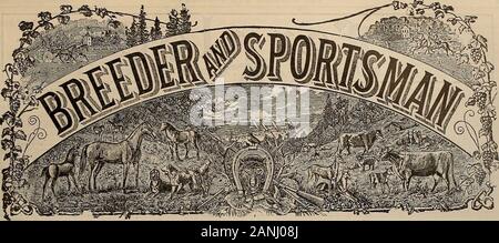 Züchter und Sportler. In den Sumpf oder Feld Selby Belastungen erhalten die Grenze Taschen. Bitten Sie den Shooter Wer weiß! SELBY VERHÜTTUNG UND CO., San Francisco, cal. Band LVI. Nr. 14. SAN FRANCISCO, Samstag. APRIL 2, 1910. Abonnement - $ 3.00 pro Jahr Stockfoto