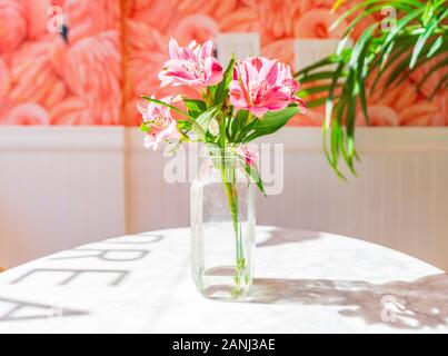Bunte Blumenarrangement in Glas-Vase und Flamingo-Hintergrundbild. Stockfoto