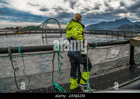 Norwegen. Norvegia. Lofoten. Katharina Mosseng, Unternehmer der Lofoten Seafood Center in Mortsund. Lachszucht Stockfoto