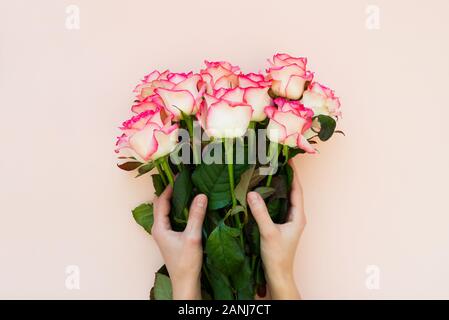 Hände halten Strauß frischer Rosen gewickelt Pink Ribbon auf rosa Hintergrund. Ansicht von oben. Flach. Kopieren Sie Platz. Valentinstag, Muttertag oder Geburt Stockfoto